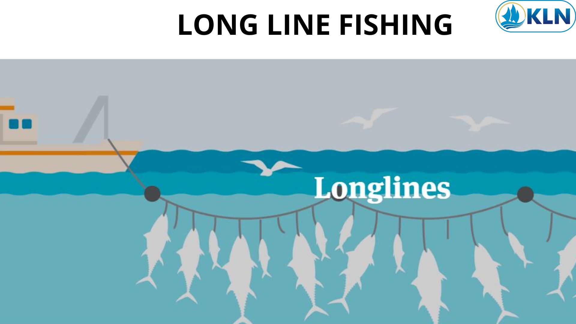 LONG LINE FISHING